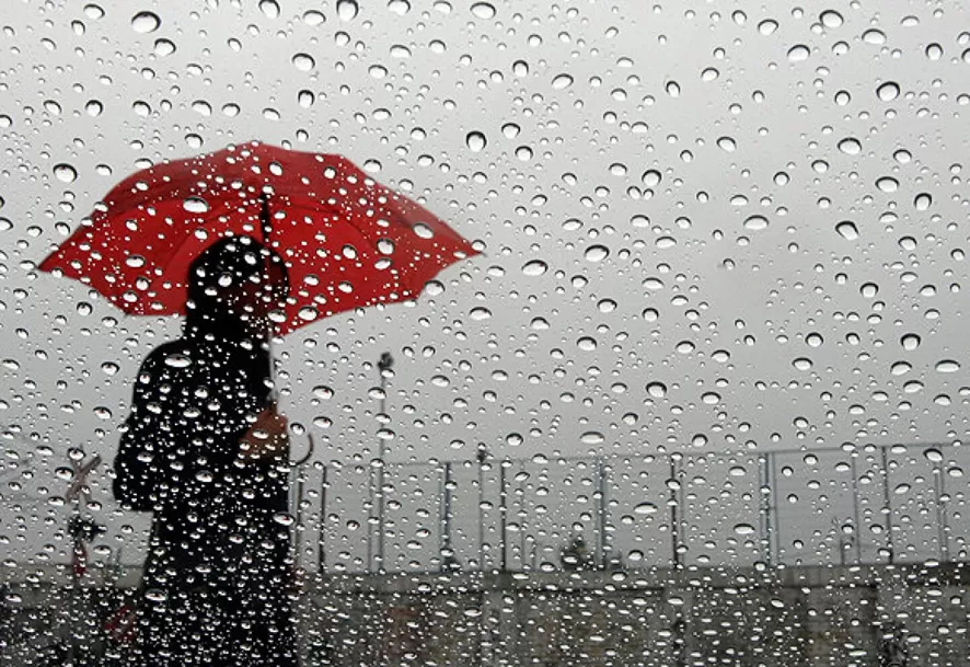 Imagen de Lluvias caídas en las últimas 24 horas: la máxima en Rocha fue en Valizas con 49 mm